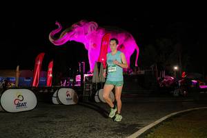 BIB: 
                            <button type="button" onclick="openModal(26534599)" class="btn btn-primary btn-sm float-right btn-popup" data-toggle="modal" data-target=".modal-high-quality">
                        <i class="fas fa-shopping-cart"></i> Add to Cart
                    </button>
                                            <button type="button" onclick="isThisMe(26534599, true)" class="btn btn-success btn-sm float-right btn-popup btn-isme hidden" data-toggle="tooltip" data-placement="bottom" title="นี่คือรูปของคุณใช่ไหม คลิกที่นี่เพื่อเอาเข้าอัลบั้ม">
                        <i class="fas fa-plus"></i> Add to album
                    </button>
                    <button type="button" onclick="isThisMe(26534599, false)" class="btn btn-warning btn-sm float-right btn-popup btn-isnotme hidden">
                        <i class="fas fa-ban"></i> Remove from album
                    </button>